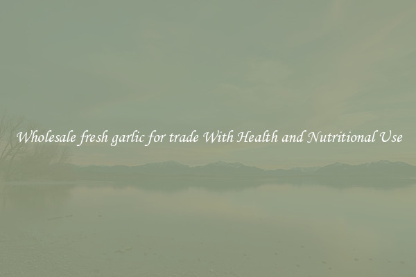 Wholesale fresh garlic for trade With Health and Nutritional Use