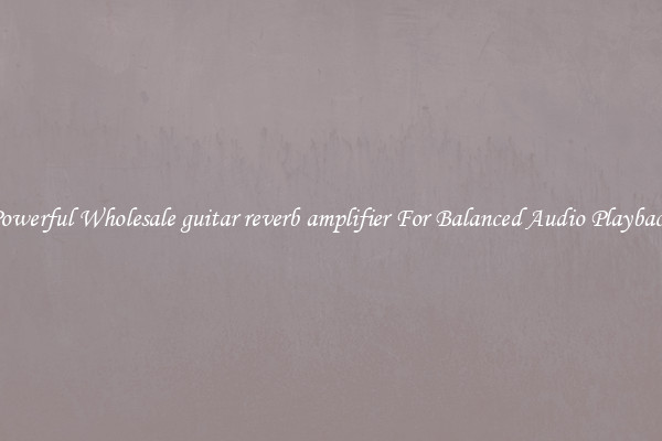 Powerful Wholesale guitar reverb amplifier For Balanced Audio Playback