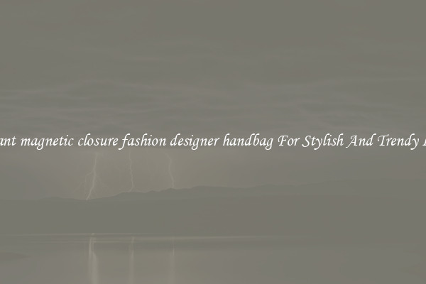 Elegant magnetic closure fashion designer handbag For Stylish And Trendy Looks