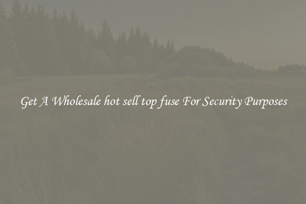 Get A Wholesale hot sell top fuse For Security Purposes