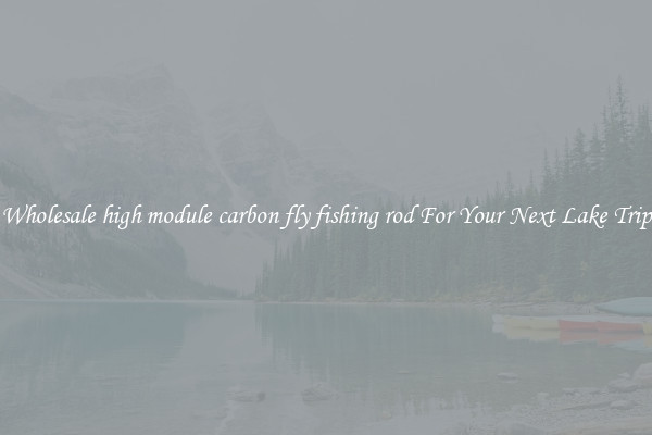 Wholesale high module carbon fly fishing rod For Your Next Lake Trip