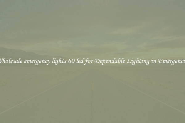 Wholesale emergency lights 60 led for Dependable Lighting in Emergencies