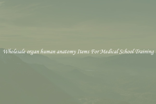 Wholesale organ human anatomy Items For Medical School Training