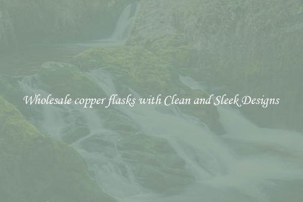 Wholesale copper flasks with Clean and Sleek Designs 