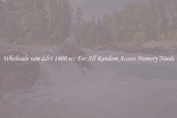 Wholesale ram ddr3 1600 ecc For All Random Access Memory Needs