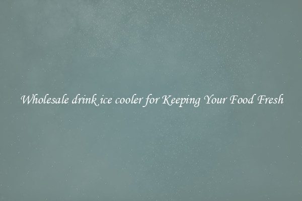Wholesale drink ice cooler for Keeping Your Food Fresh