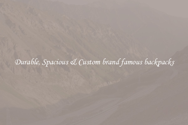 Durable, Spacious & Custom brand famous backpacks