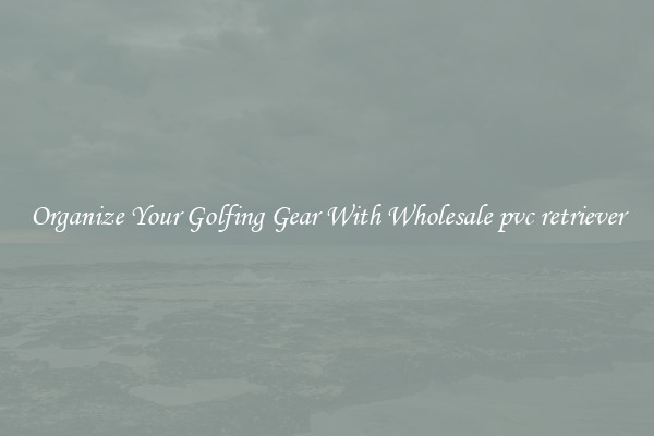 Organize Your Golfing Gear With Wholesale pvc retriever