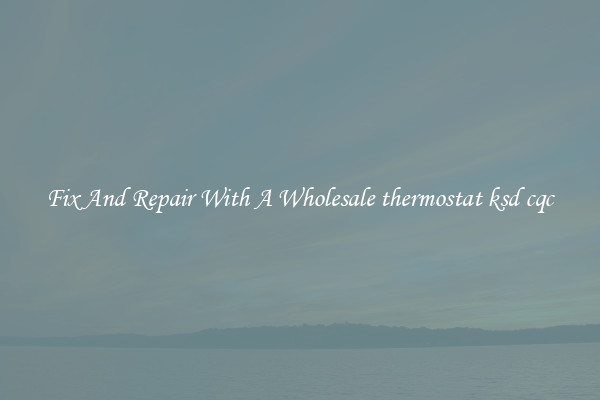 Fix And Repair With A Wholesale thermostat ksd cqc