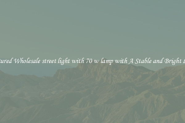 Featured Wholesale street light with 70 w lamp with A Stable and Bright Light