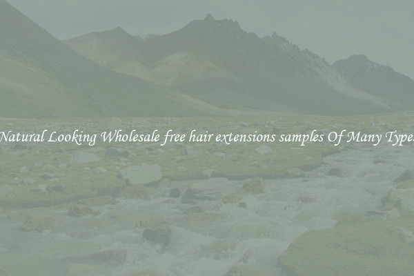 Natural Looking Wholesale free hair extensions samples Of Many Types