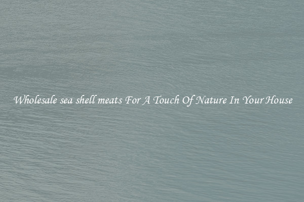 Wholesale sea shell meats For A Touch Of Nature In Your House