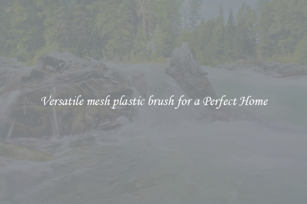 Versatile mesh plastic brush for a Perfect Home