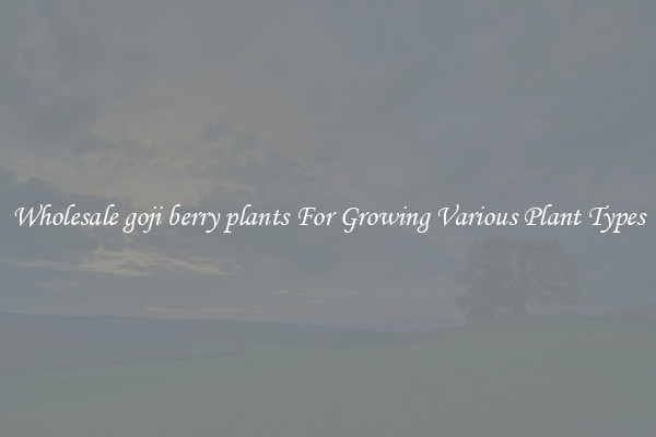 Wholesale goji berry plants For Growing Various Plant Types