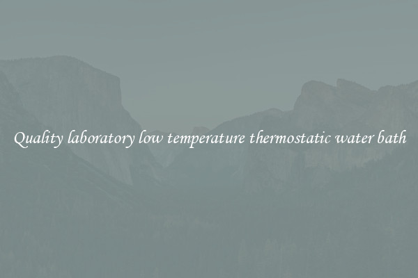 Quality laboratory low temperature thermostatic water bath