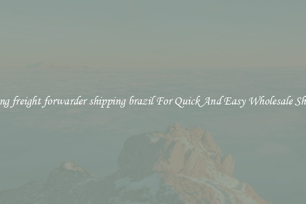 zhejiang freight forwarder shipping brazil For Quick And Easy Wholesale Shipping