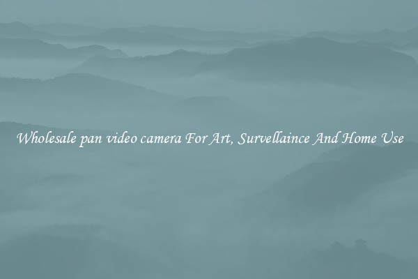 Wholesale pan video camera For Art, Survellaince And Home Use