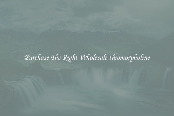 Purchase The Right Wholesale thiomorpholine