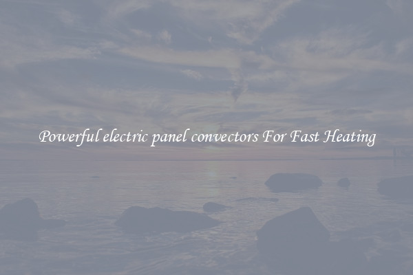 Powerful electric panel convectors For Fast Heating