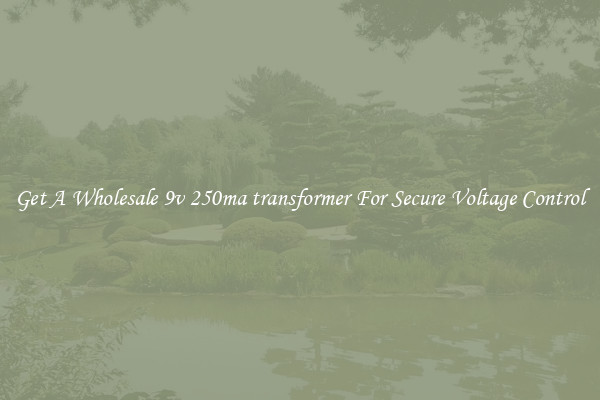 Get A Wholesale 9v 250ma transformer For Secure Voltage Control