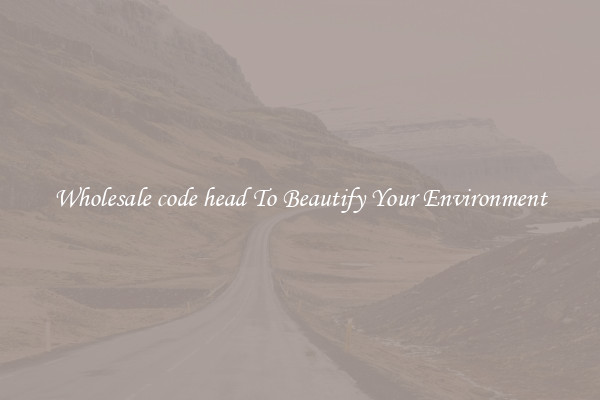 Wholesale code head To Beautify Your Environment