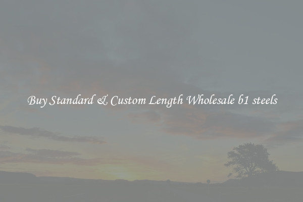 Buy Standard & Custom Length Wholesale b1 steels